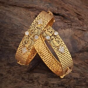 succulent plant with pot