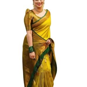 banarasi kanjivaram art silk